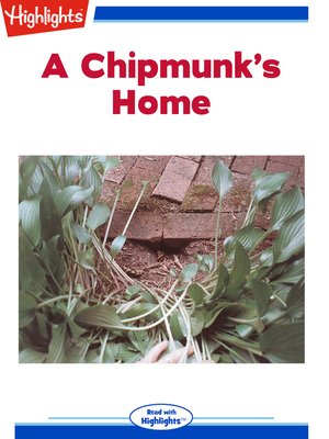 cover image of A Chipmunk's Home